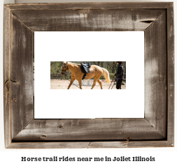 horse trail rides near me in Joliet, Illinois